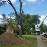 Tree Removal Experts