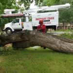 Tree Removal Allen
