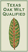 Texas Oak Wilt Qualified